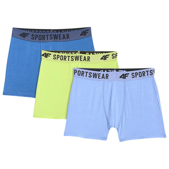 4F Ανδρικό εσώρουχο boxer 3-Pack